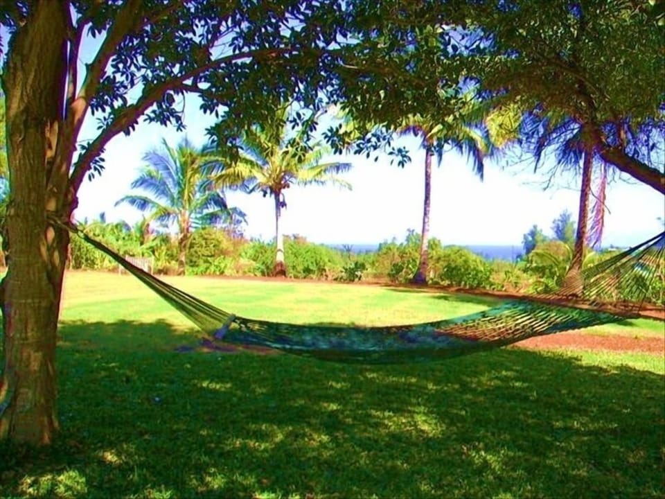 Enjoy ocean and mountain views under the shade of the trees on this hammock