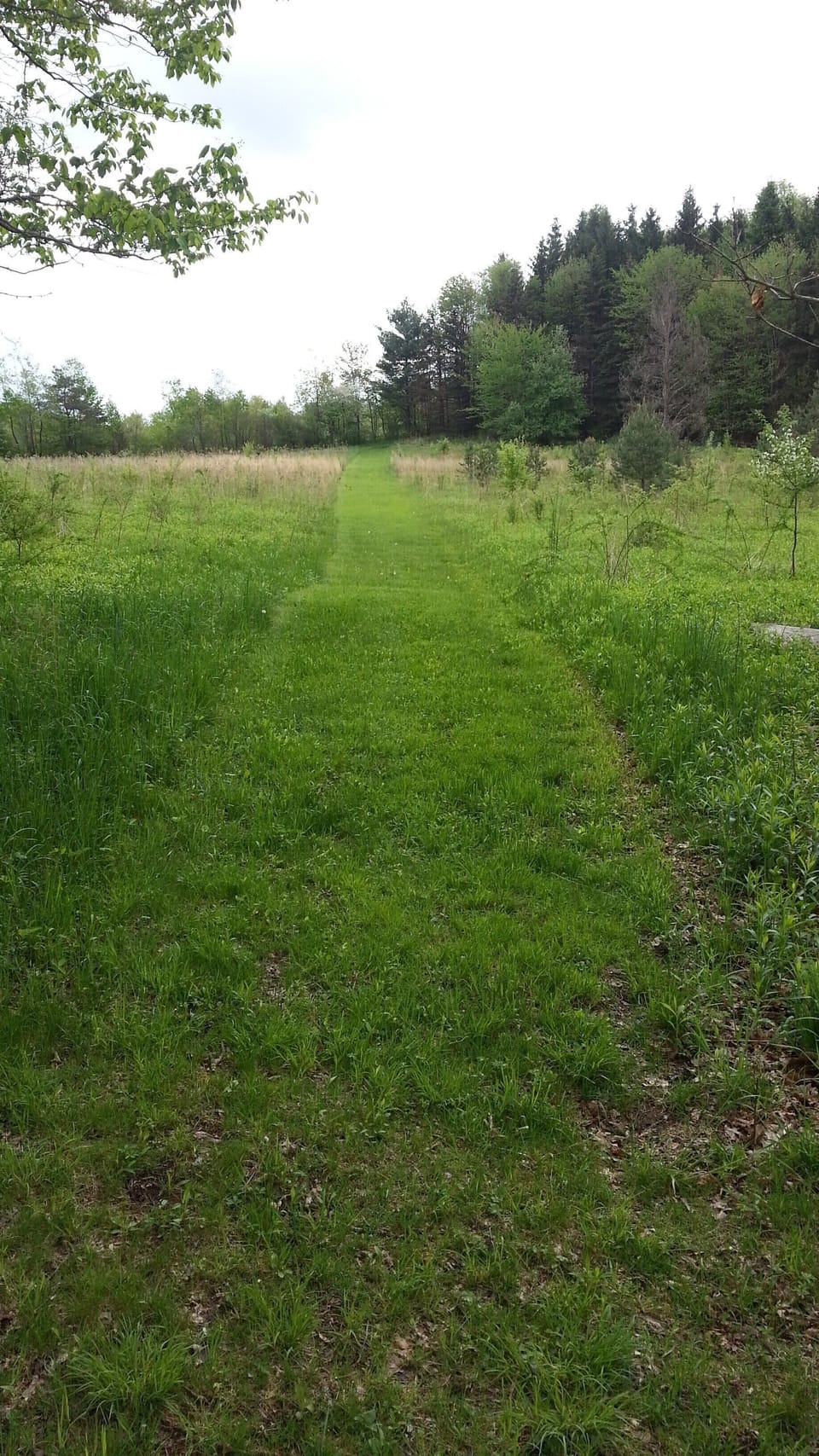 Path to the Mountain Plateau and Rustic Fire Pit!