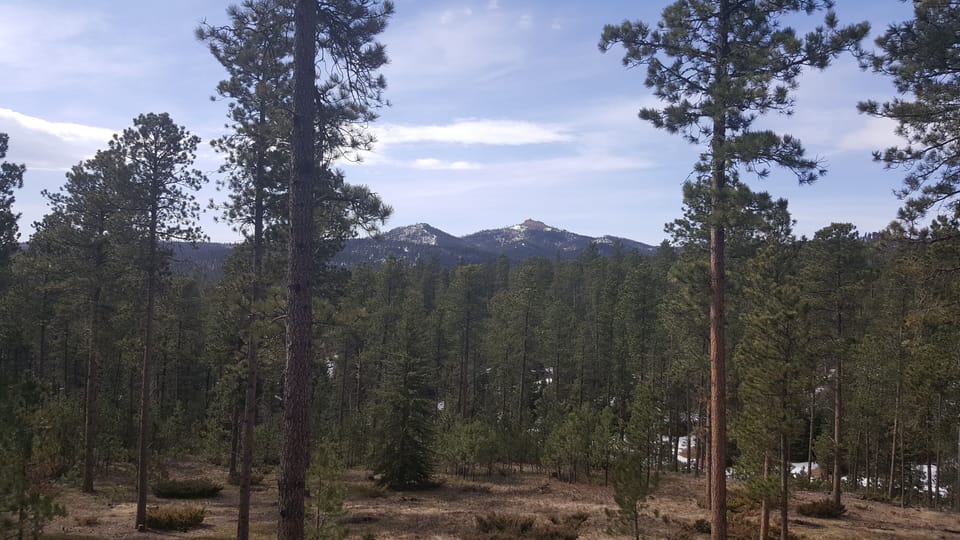 View from Deck - Custer Peak