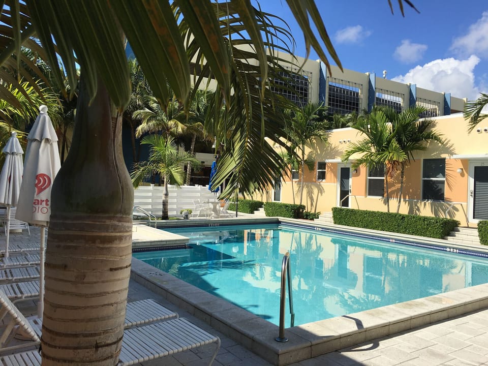 Gorgeous pool, newly renovated 
