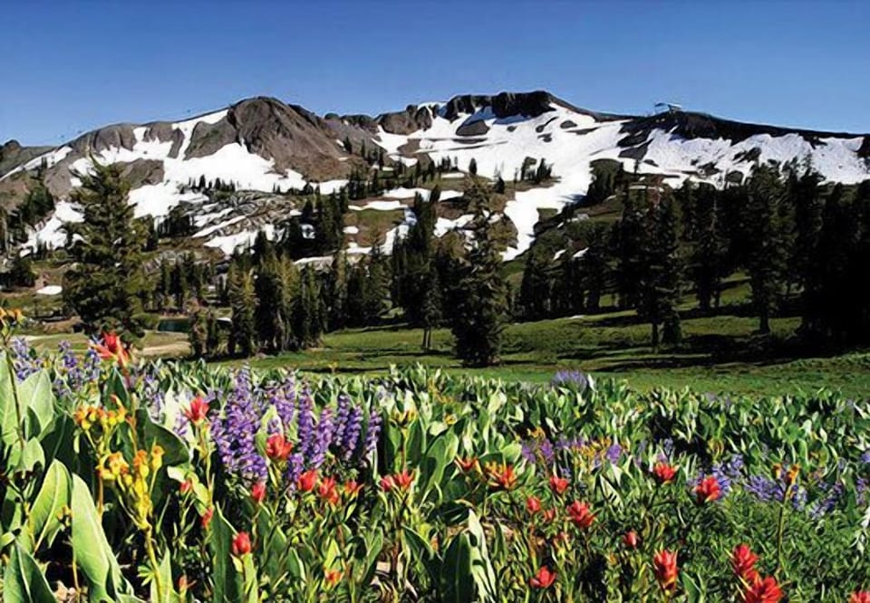 Squaw Valley Ski Resort is beautiful all year round.  20 minutes drive