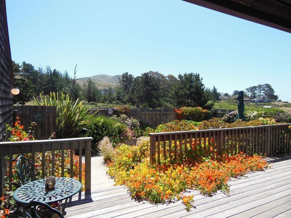 Fenced Yard