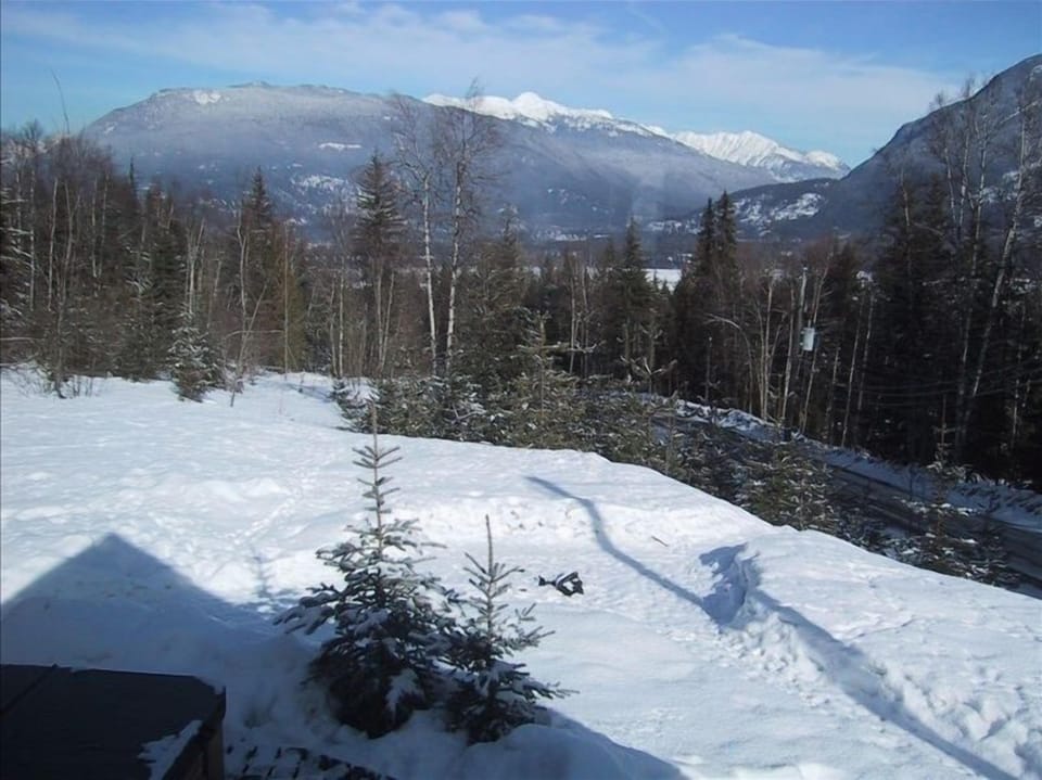 View from rear of Cottage