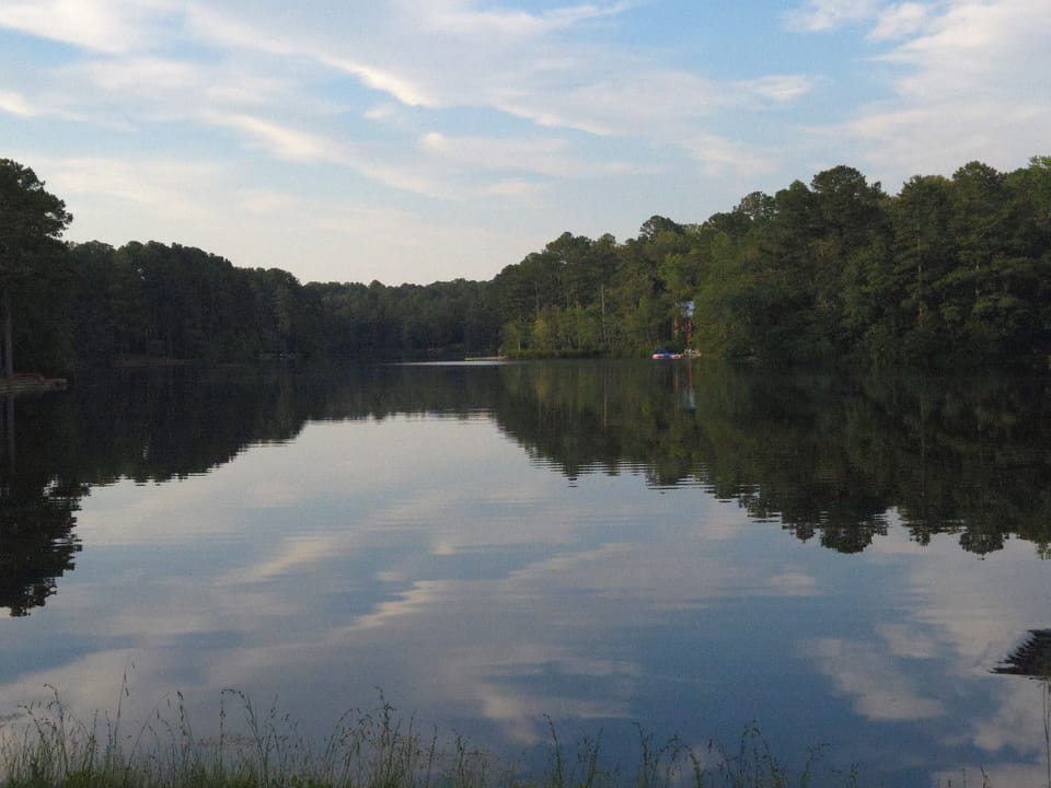 View of lake