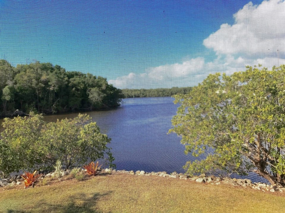 Wraparound Porch View