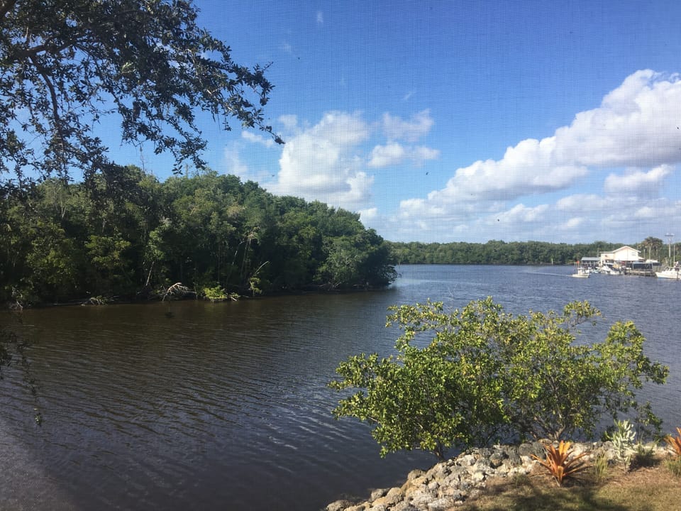 Wraparound Porch View
