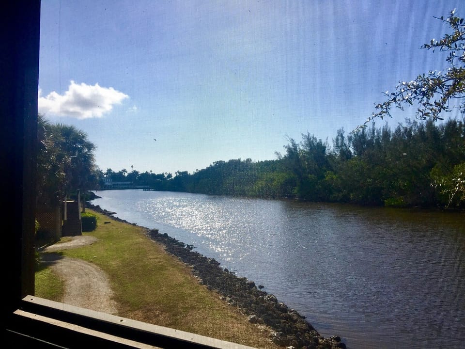 Wraparound Porch View