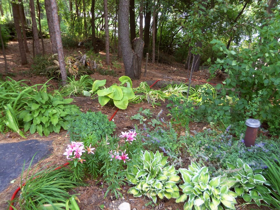 flower garden by front door