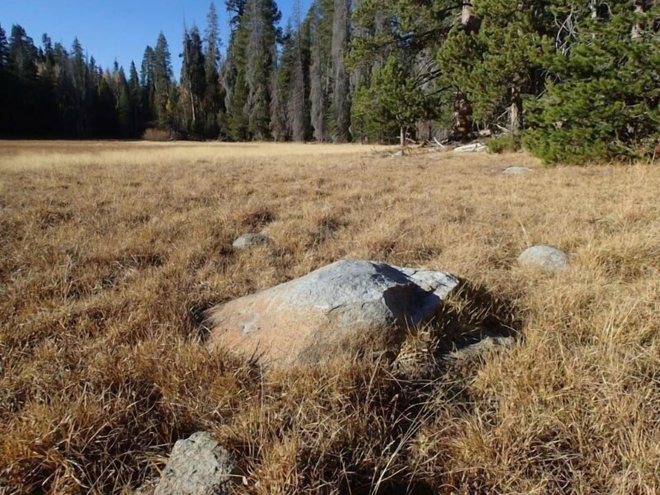 Absorb tranquility and silence all around, such as nearby Hoby Meadow 