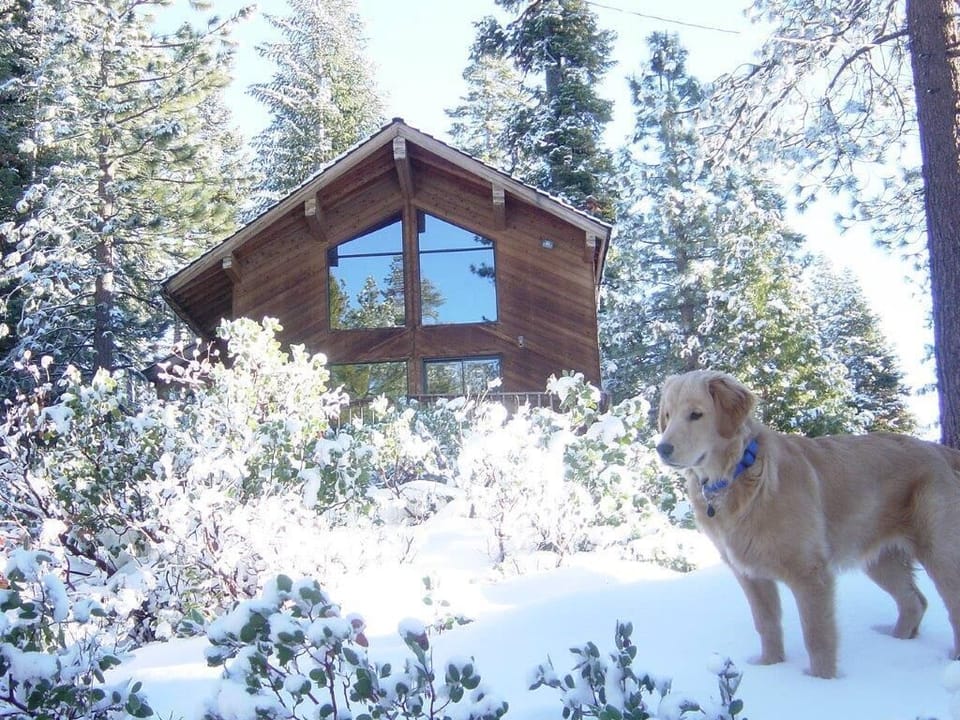 Winter wonderland where snow can reach over 6 ft deep of powder