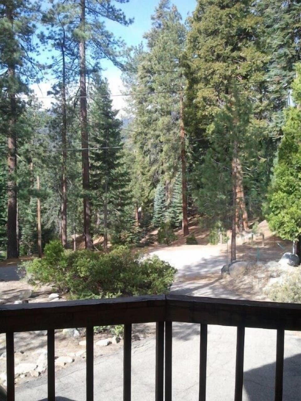 View from living  room & front deck, forest across street, Slate Mtn in backgrd