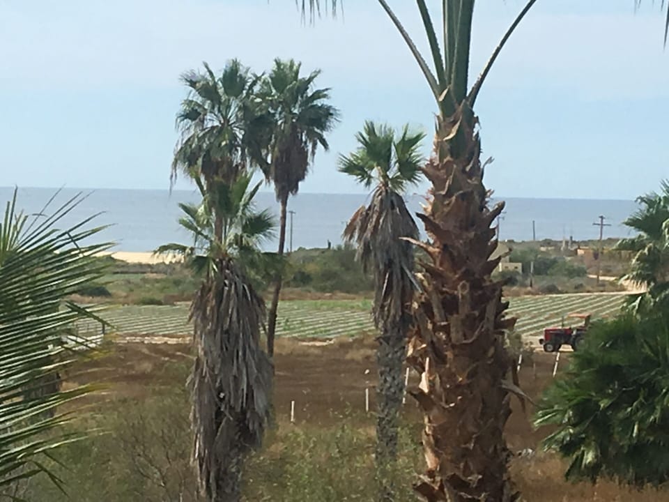 View of San Pedrito beach