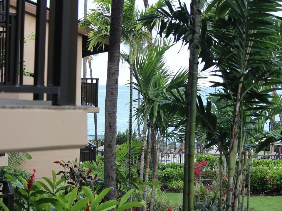 View from Lanai