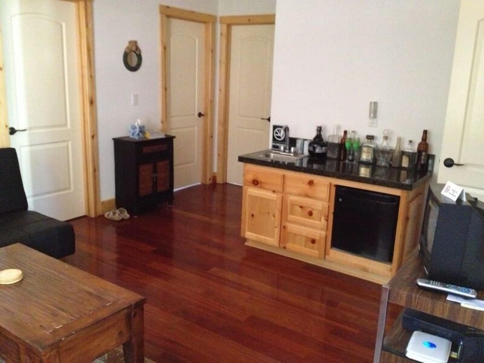 Downstairs Family Room
