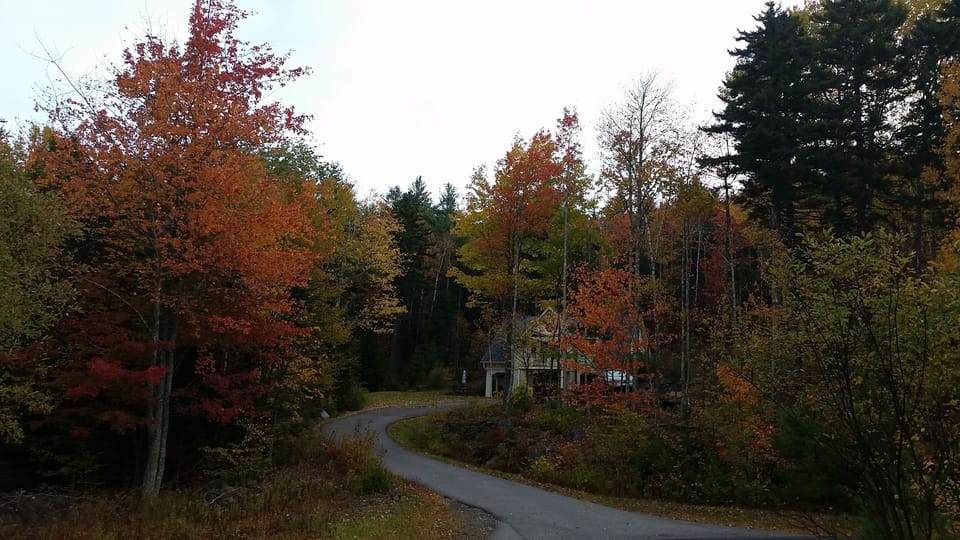 A view up the driveway shows off the lovely fall foliage.