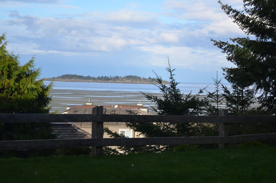 View from front patio, #23 Tanglewood Place