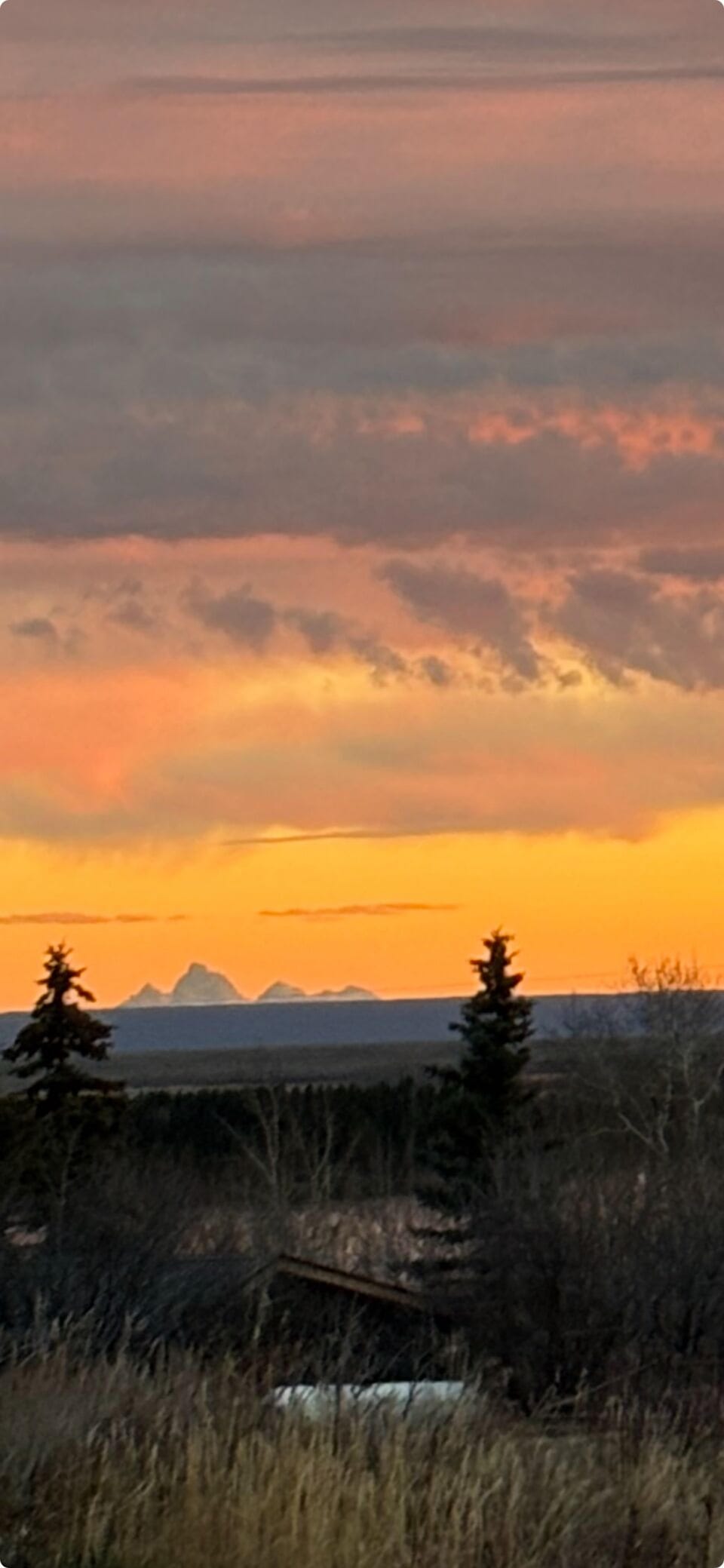 Sunrise view of the Tetons on a clear day.