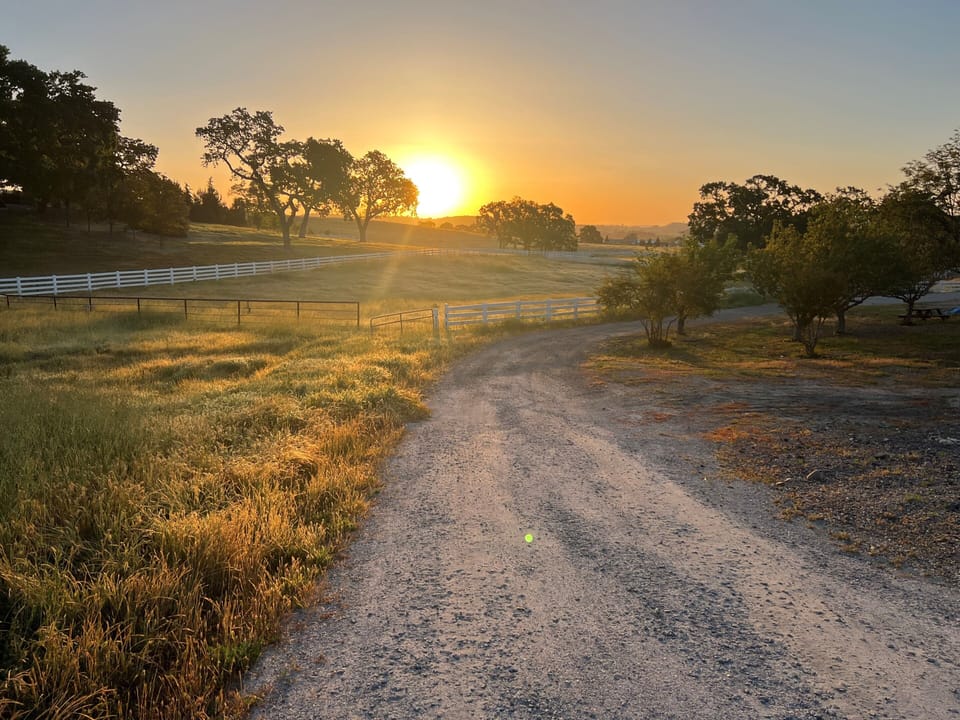 Driveway to Cottage