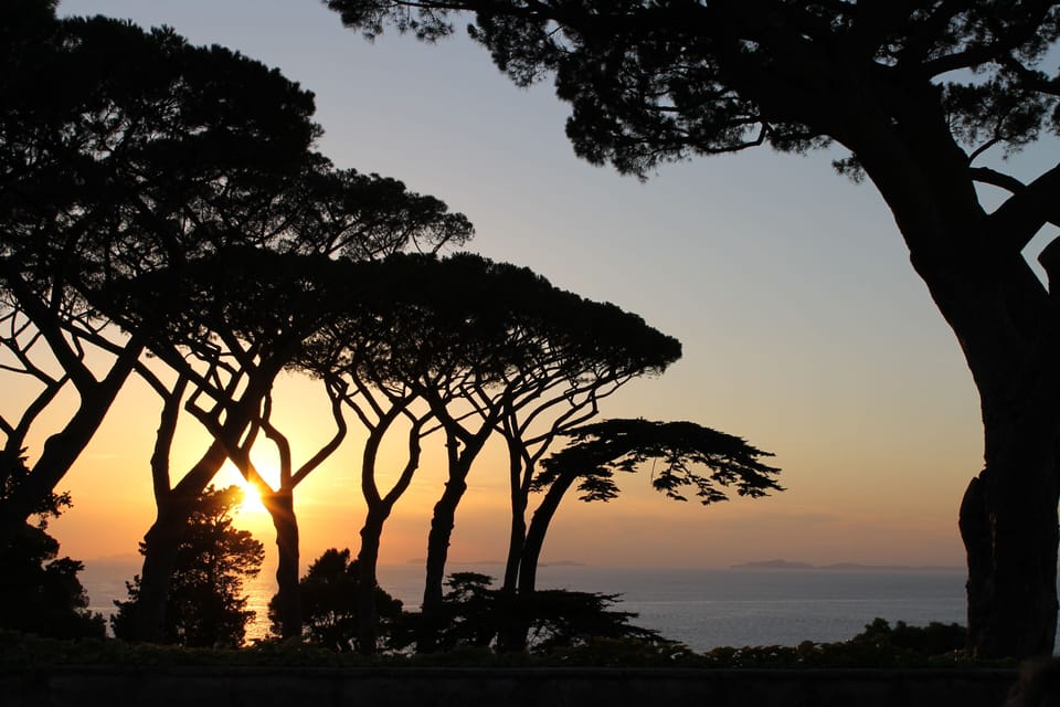 Sunset on the Gulf of Naples from the terrace with our unique ancient pine tree 