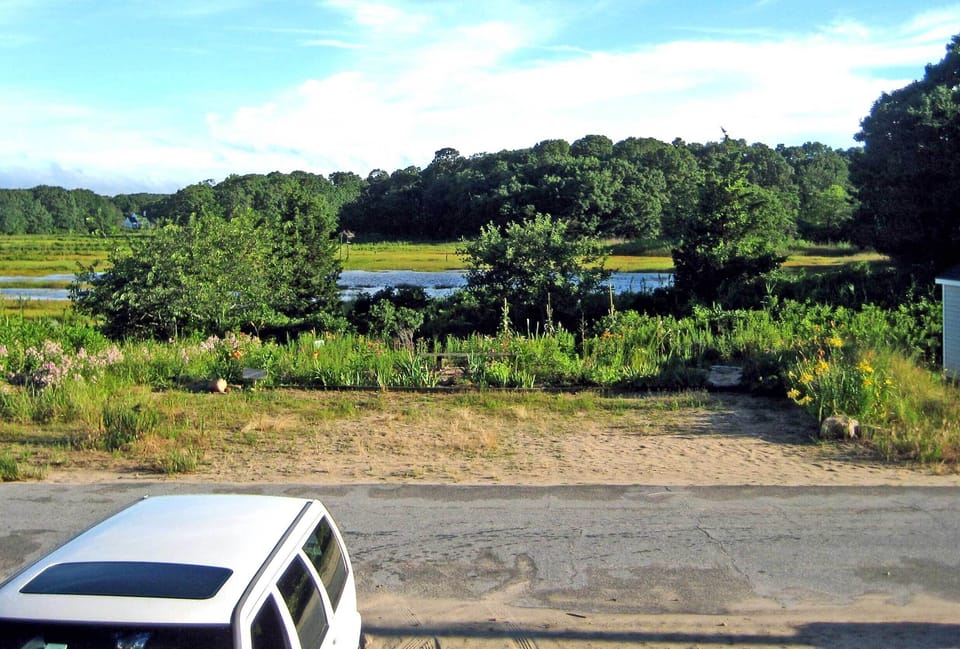 View of wetlands and additional private parking.