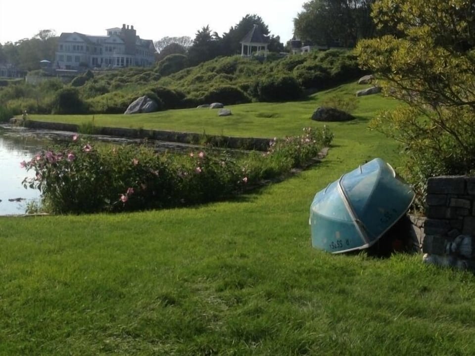 Another pond view