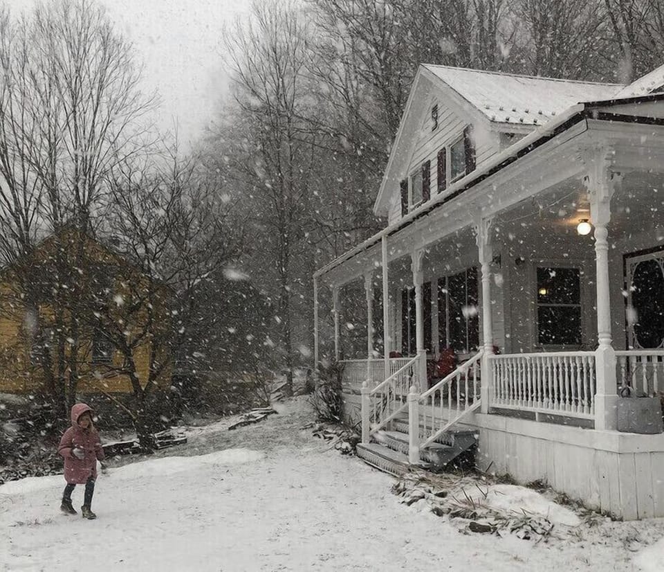 Winter wonderland 