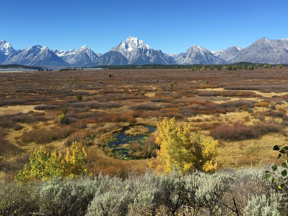 The Grand Tetons near Jackson Lake