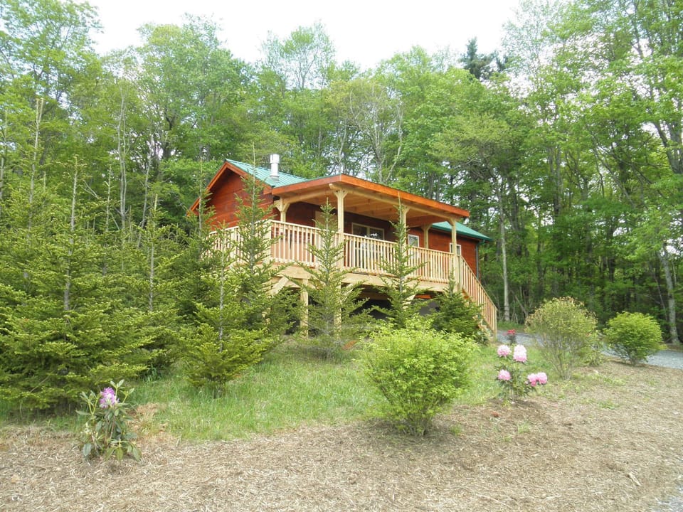 Come Enjoy the Magic!