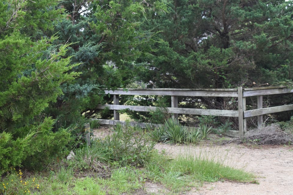 Path to beach across the street. 