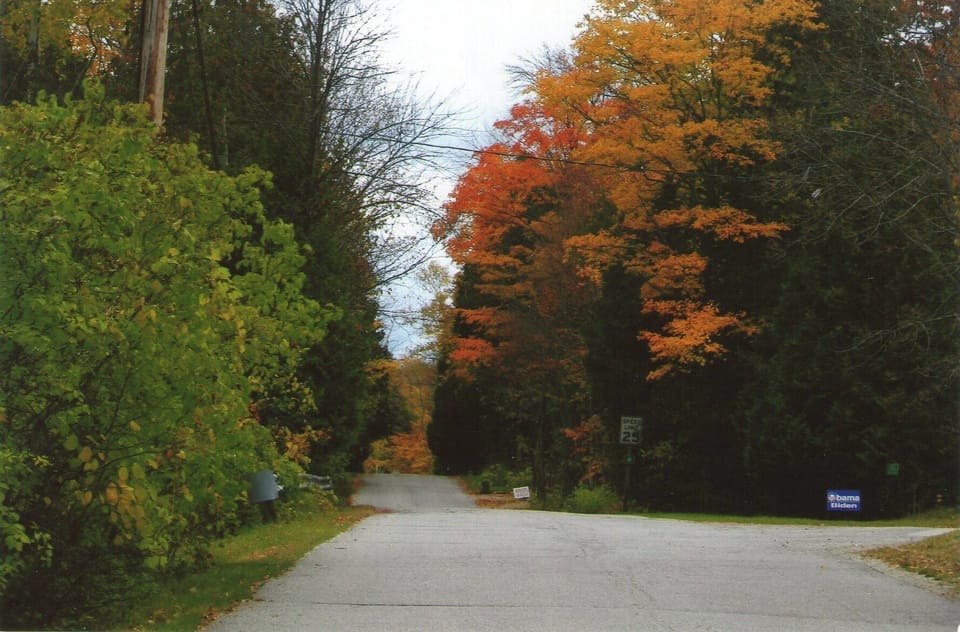 Ward Street in the Fall.