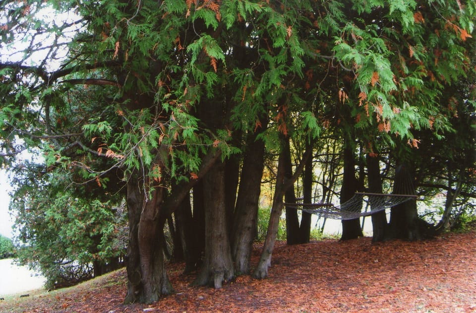 Relax in the hammock out front