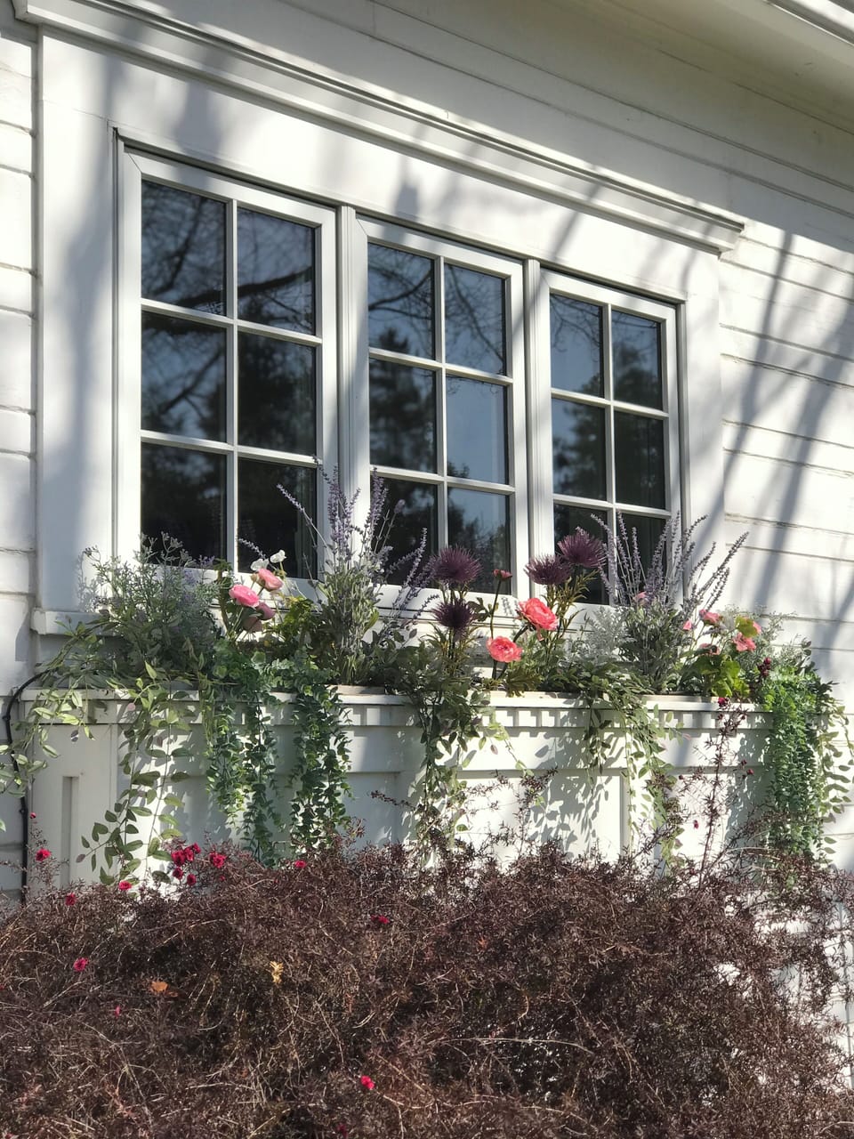 Kitchen windowbox