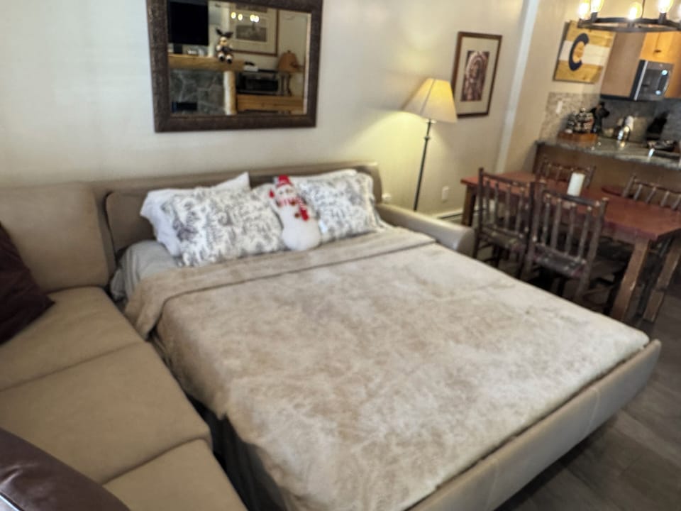 Leather sectional with high end Queen plus pullout