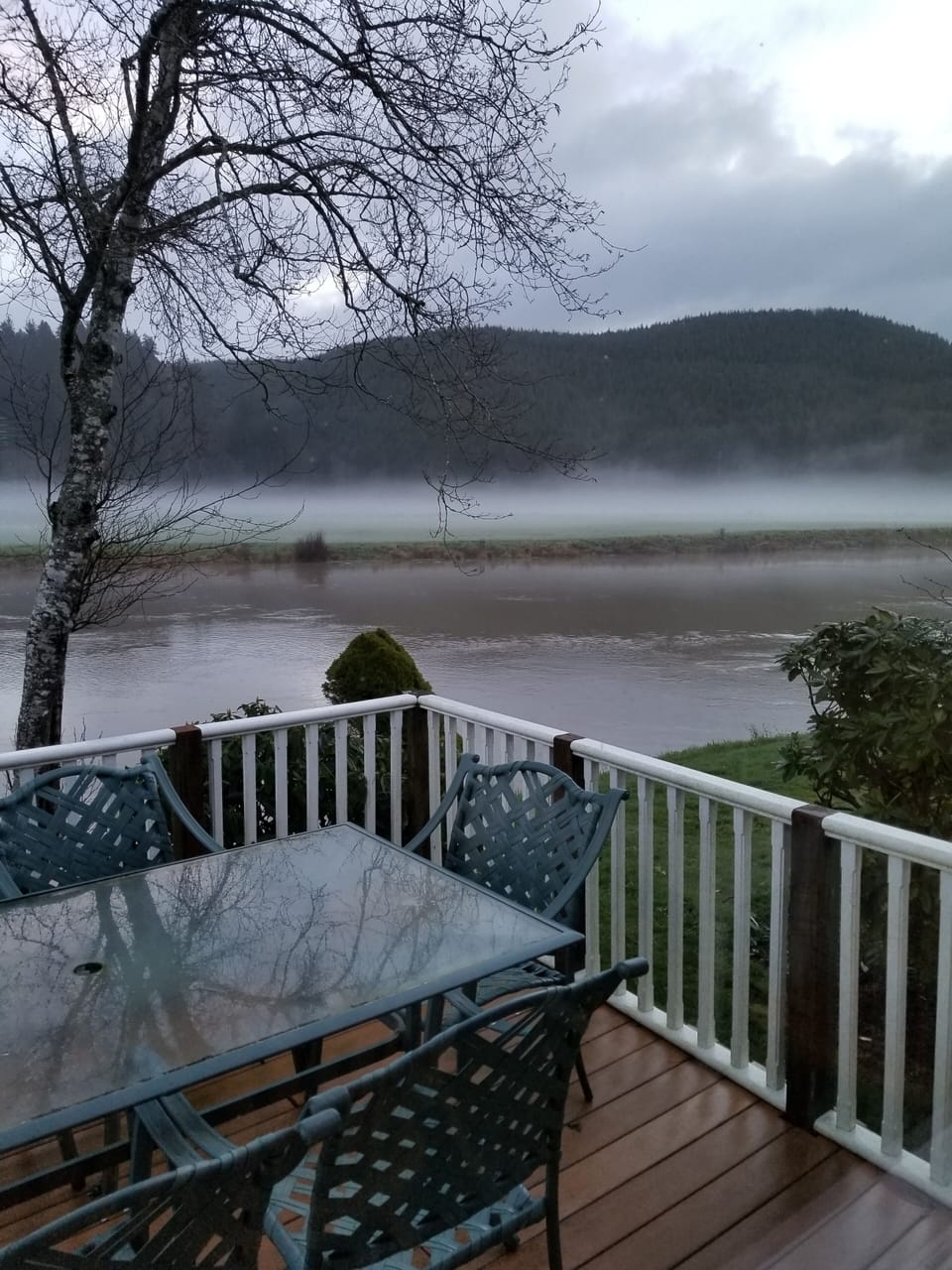 Winter morning in a blanket of fog.