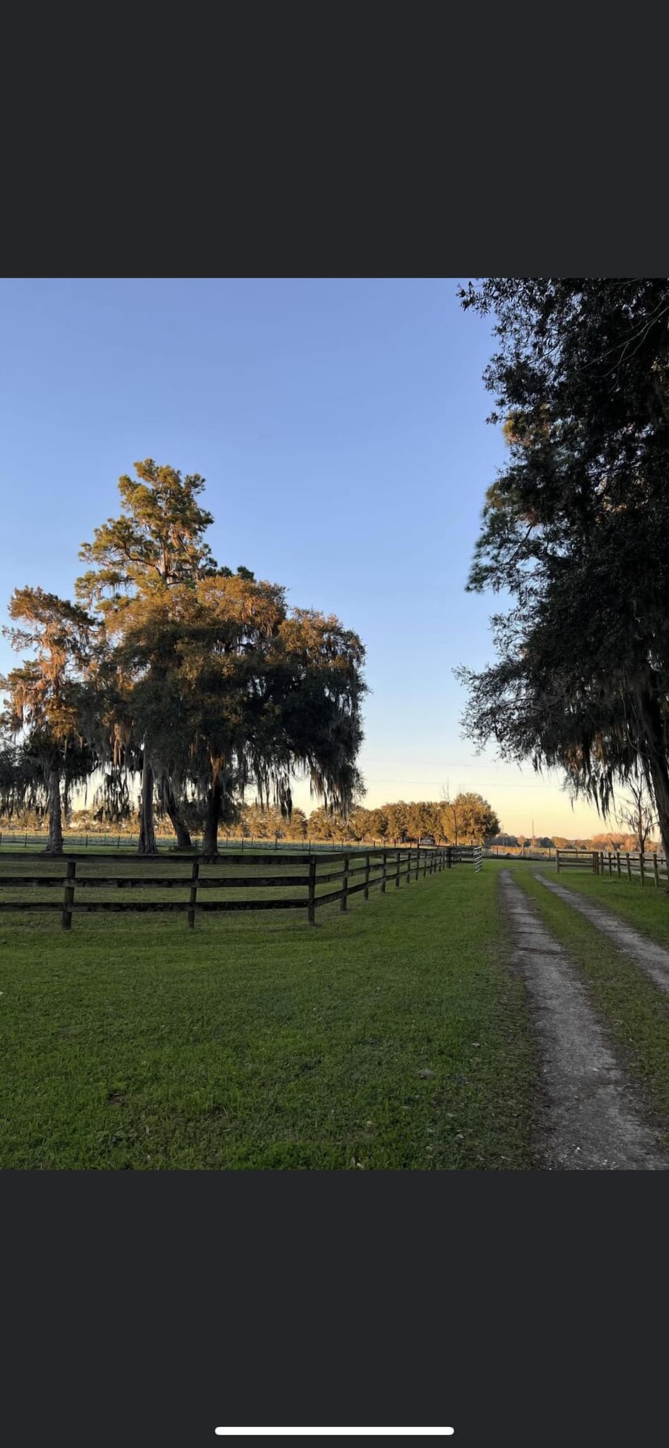 Driveway into the property
