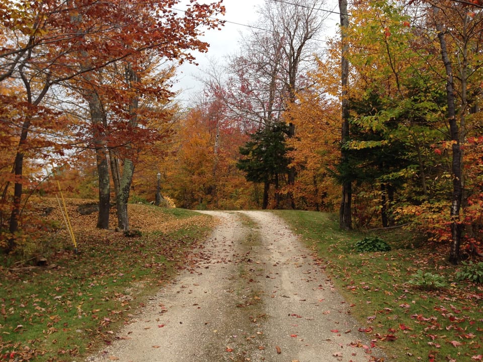 Fall Foliage in Driveway Entry