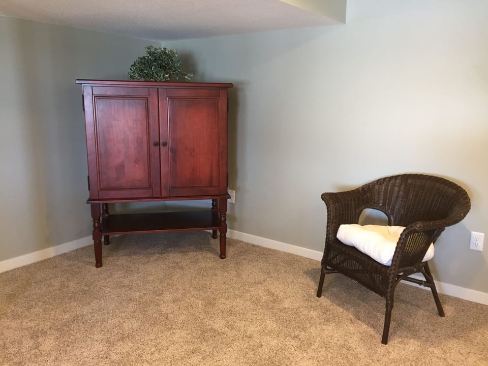 Lower level family room TV.