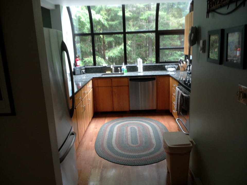 Kitchen with Greenhouse windows