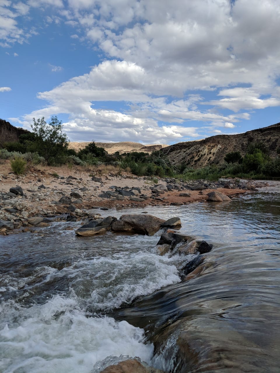 swimming hole you can walk to right from the house! 