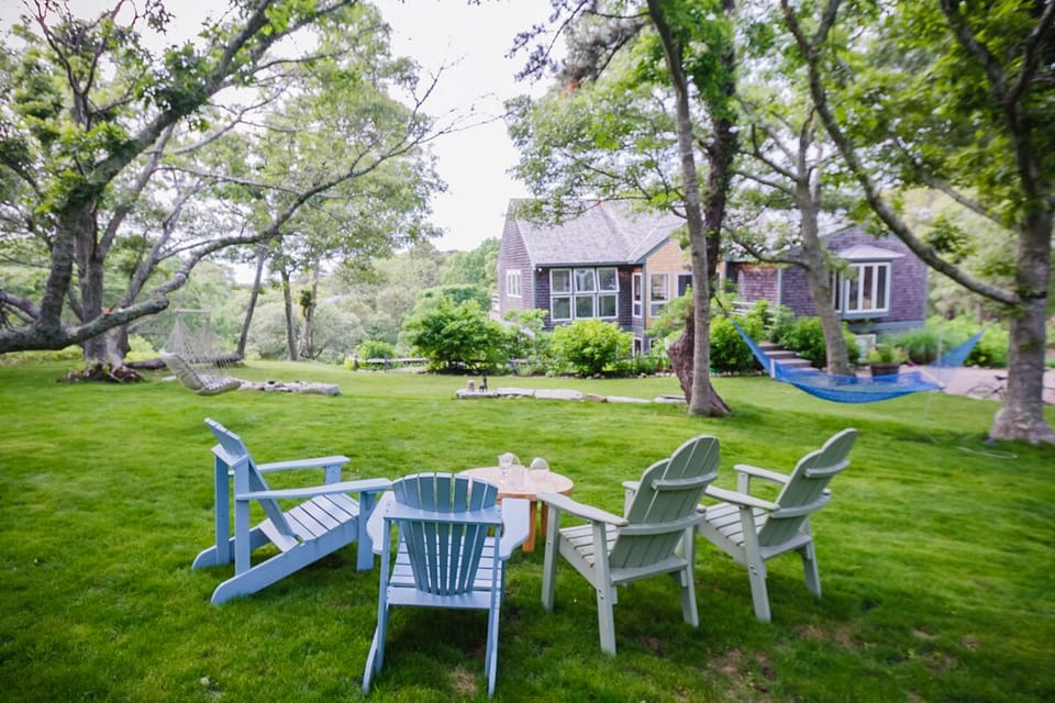 lawn in front of the house