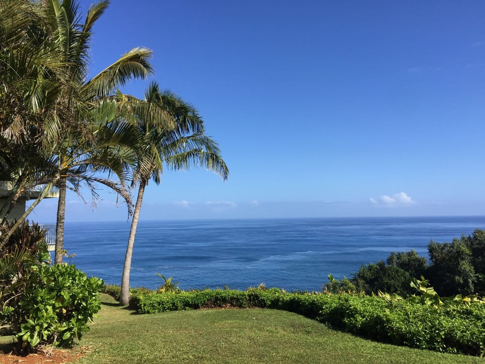 Enjoying The View From The Lanai