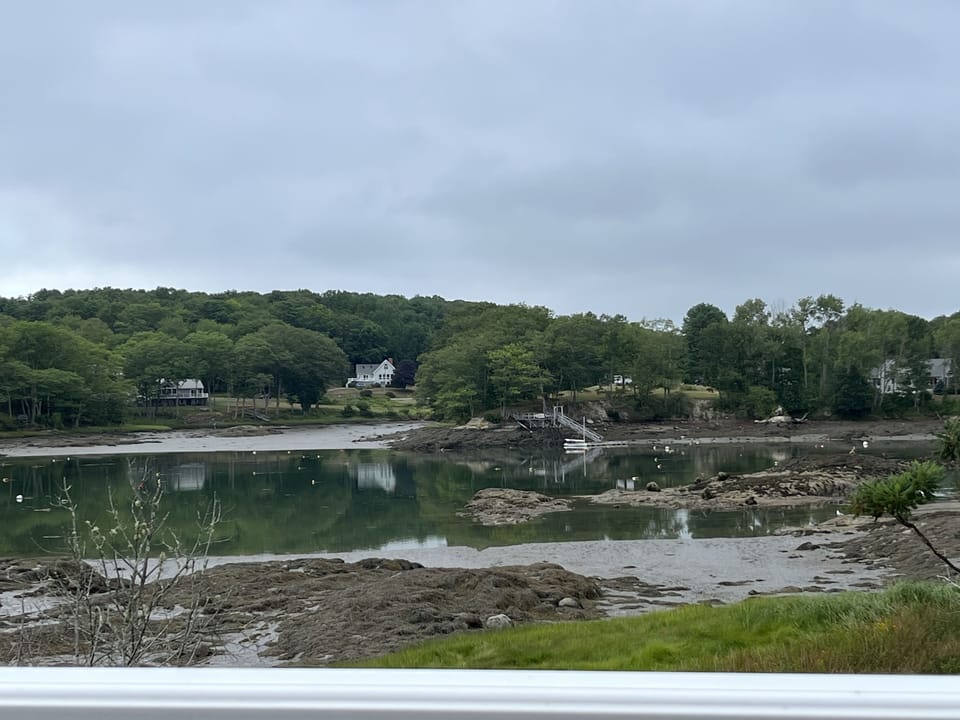 Summer View - Low Tide