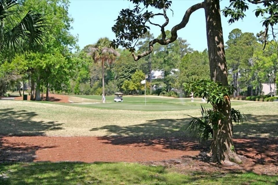 View of 6th green on Shipyard's Galleon course from the deck.