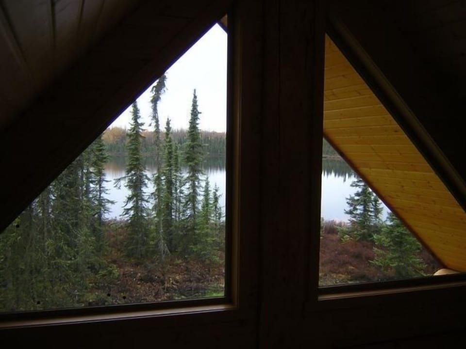 View from Loft!