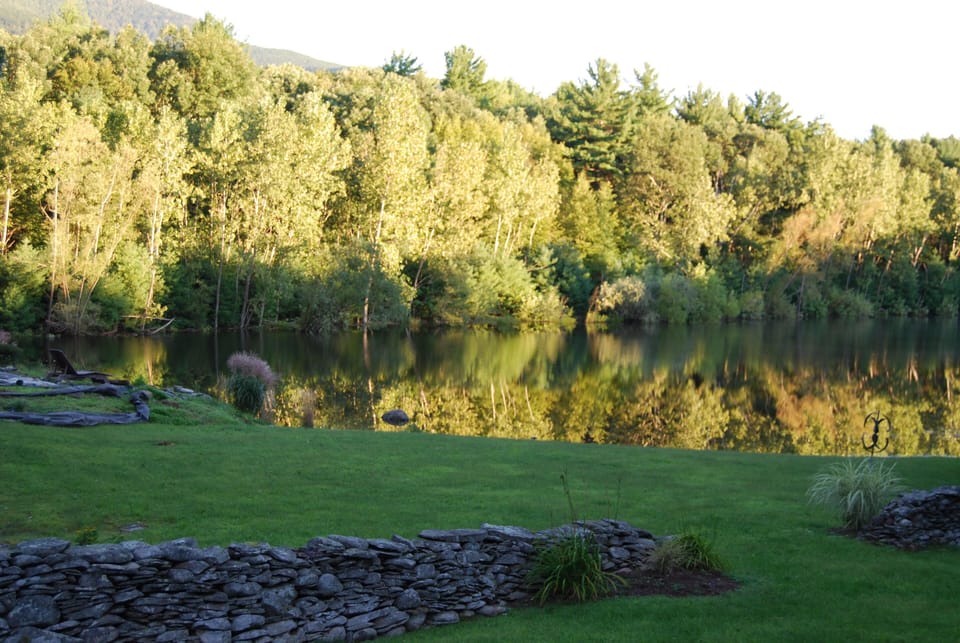 Lazy late afternoon.....