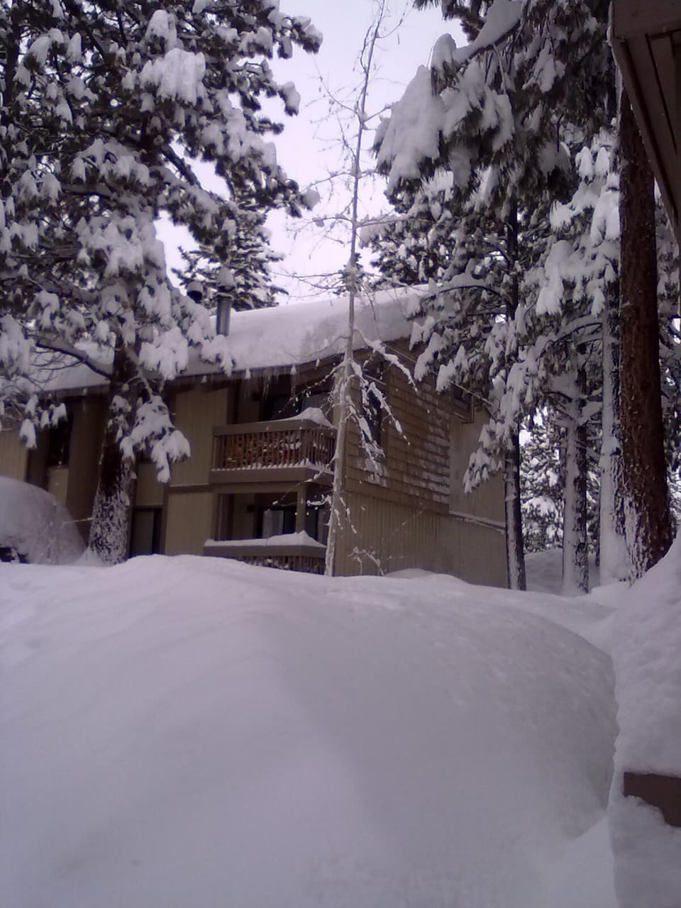 Mammoth Winter at Horizons4 #110