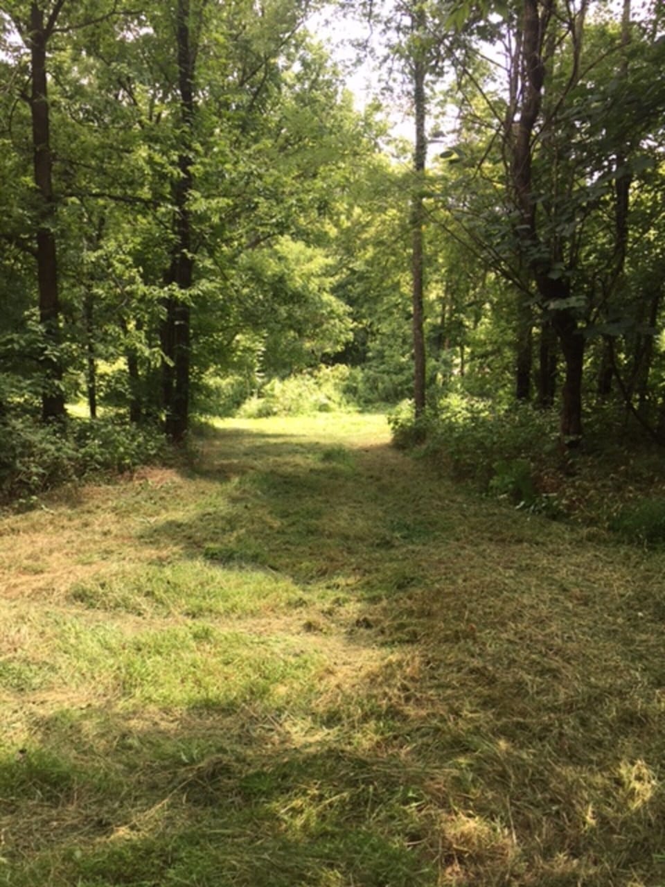 Enjoy a run, walk, games, wildlife, and nature on the trails