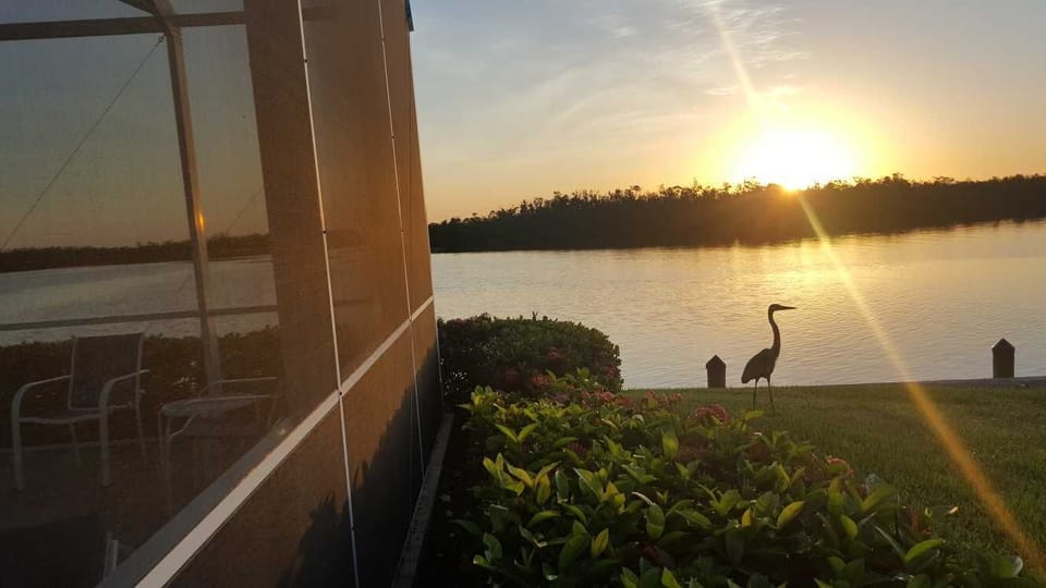 Beautiful nature view