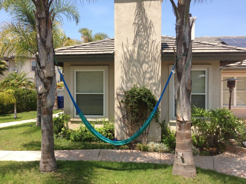 Relaxing hammock.
