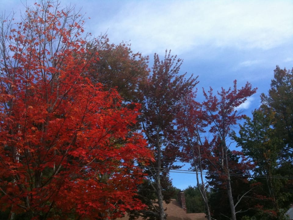 Fall is a beautiful time to visit, too!